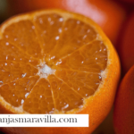 Lee más sobre el artículo Sabrías elegir la mejor naranja de sabor y frescura?